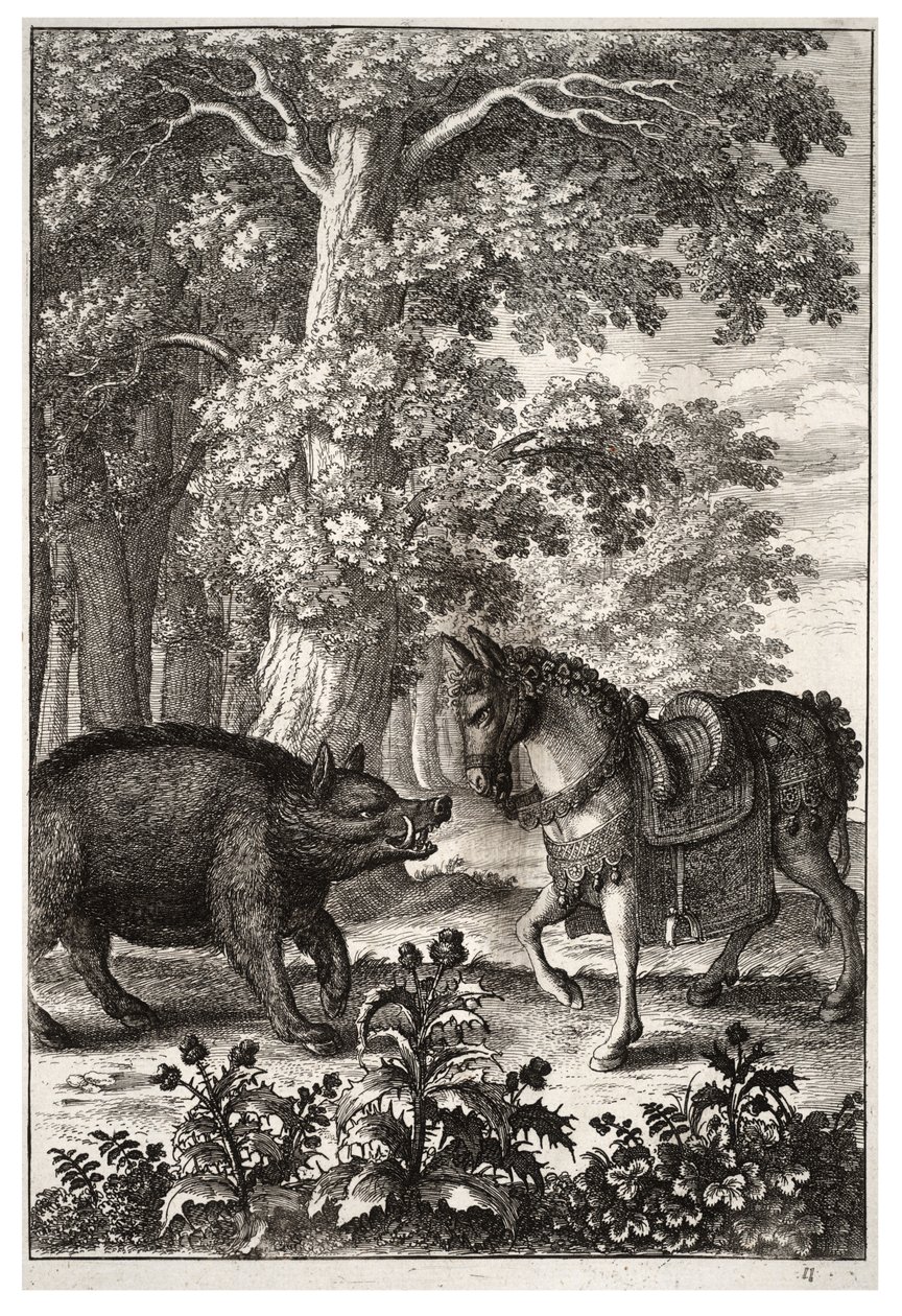 Kanec a zadek od Wenceslaus Hollar