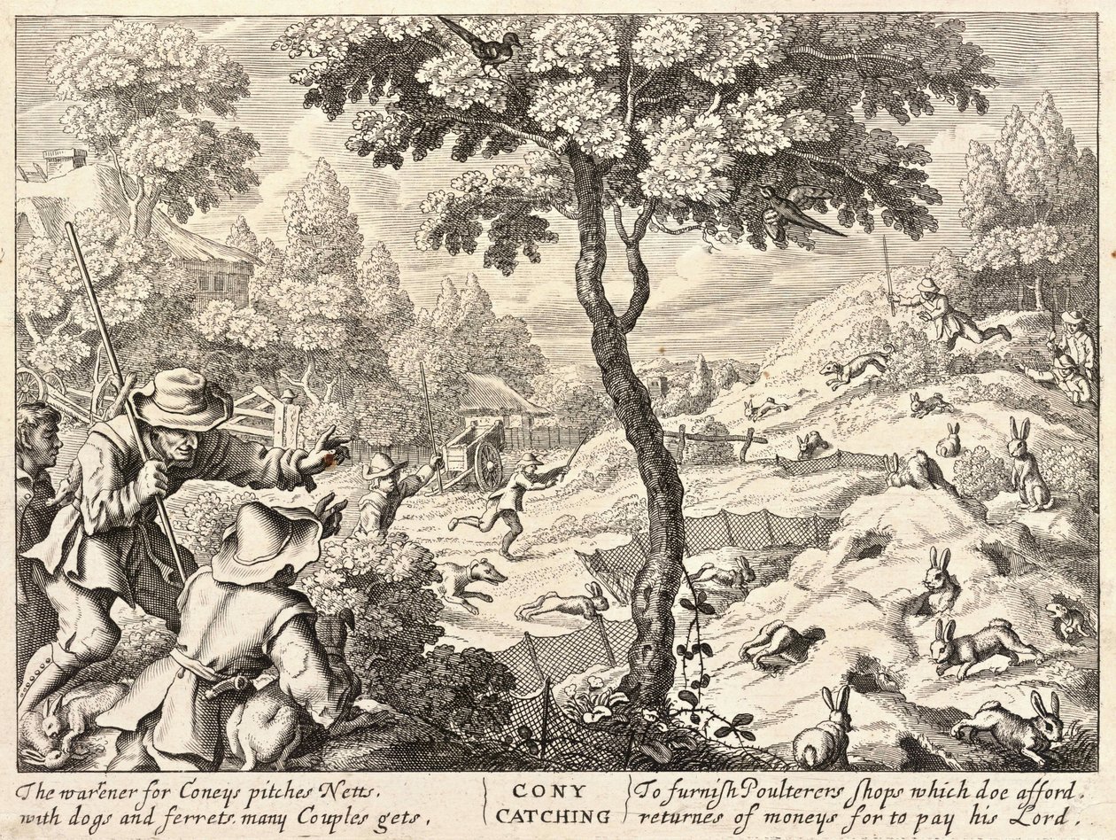 Chytání v Coney od Wenceslaus Hollar