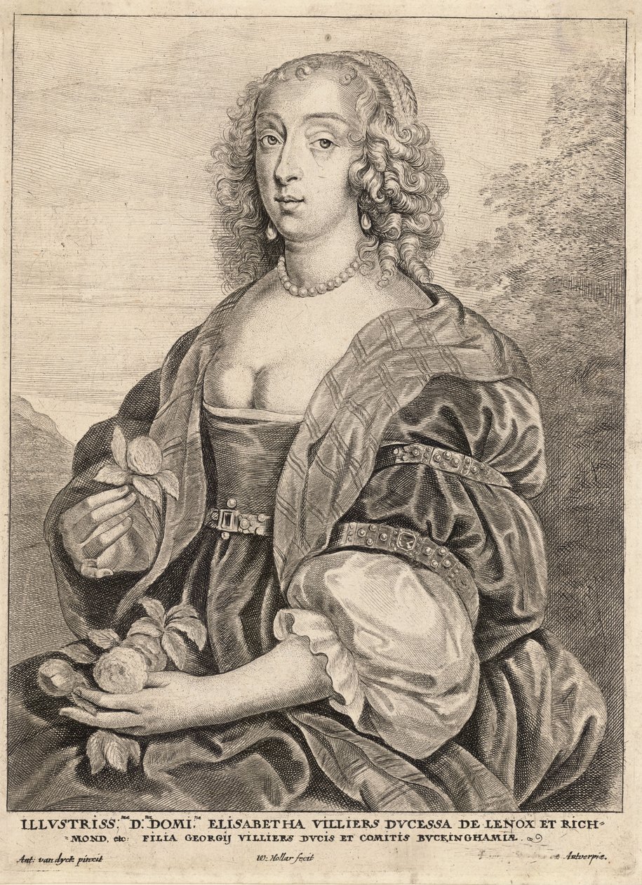 Vévodkyně z Lennoxu, po van Dyckovi. Stav 5 od Wenceslaus Hollar