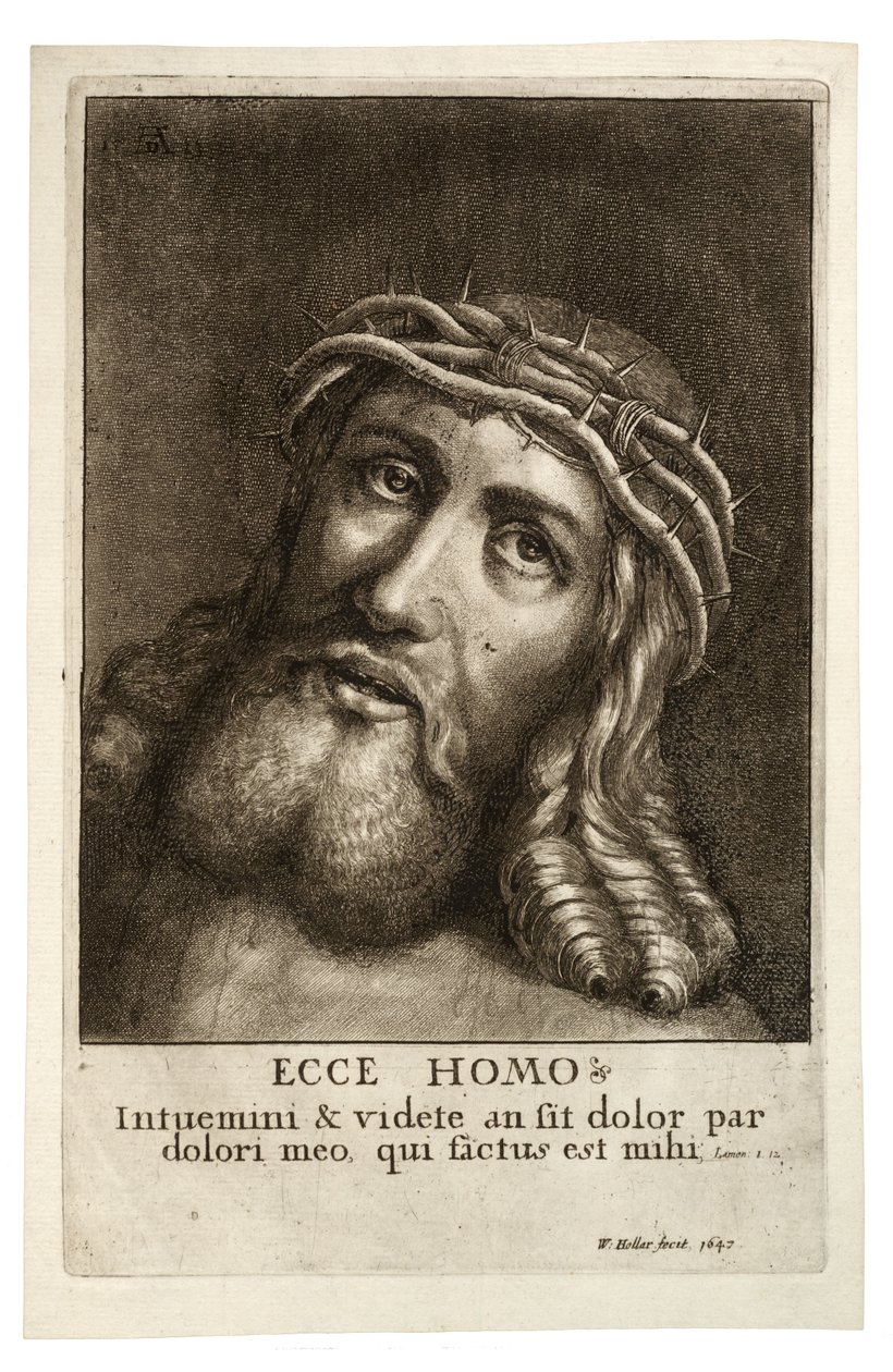Hle, muž. Stav 2 od Wenceslaus Hollar