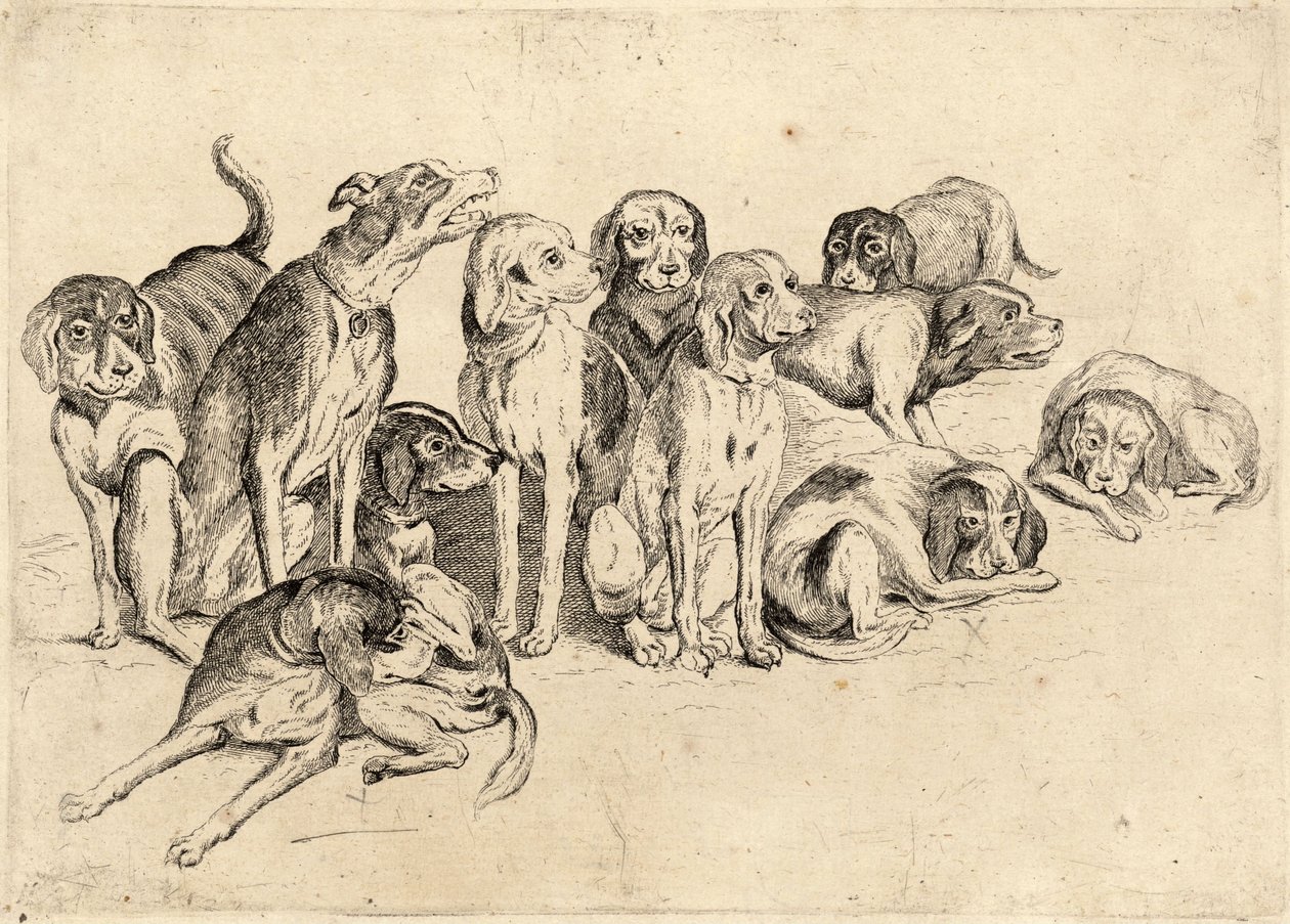 Jedenáct honičů od Wenceslaus Hollar