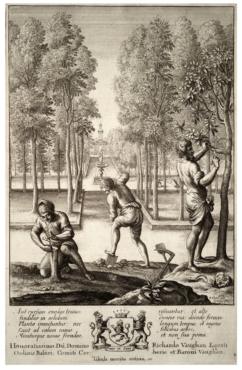Zahradničení. Stav 1 od Wenceslaus Hollar