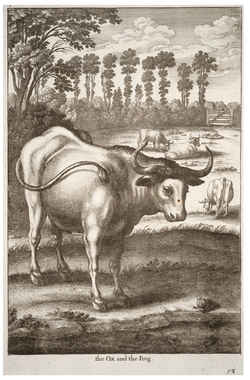 Vol a žába od Wenceslaus Hollar