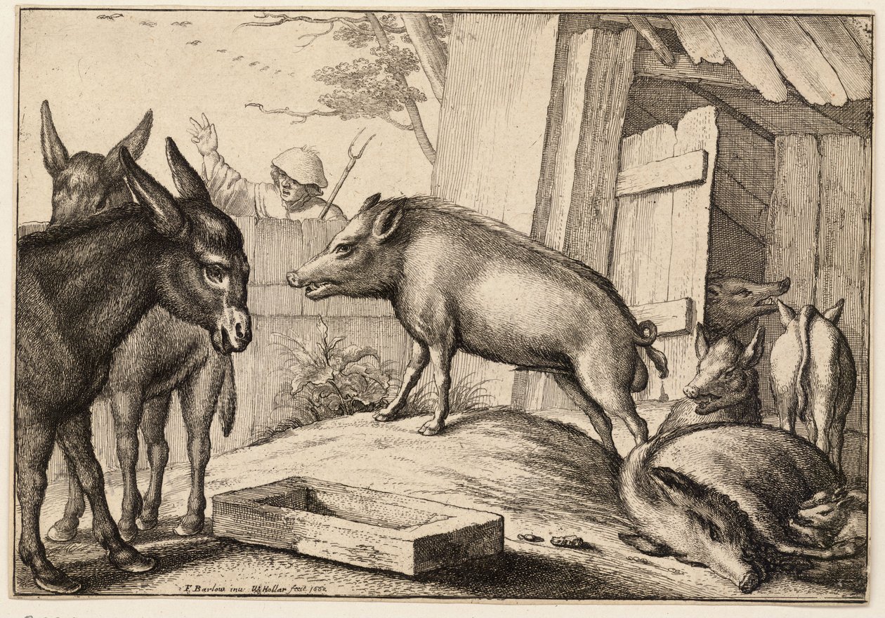 Prasata a osli od Wenceslaus Hollar