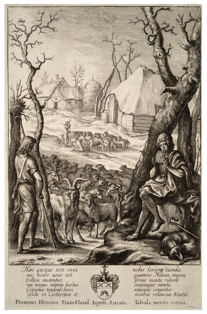 Chov dobytka. Stav 1 od Wenceslaus Hollar