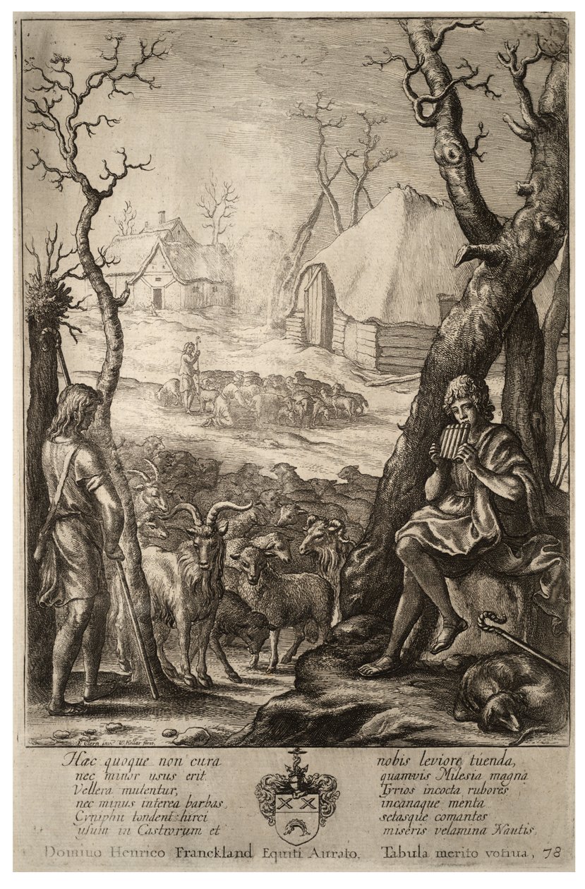 Chov dobytka. Stav 3 od Wenceslaus Hollar