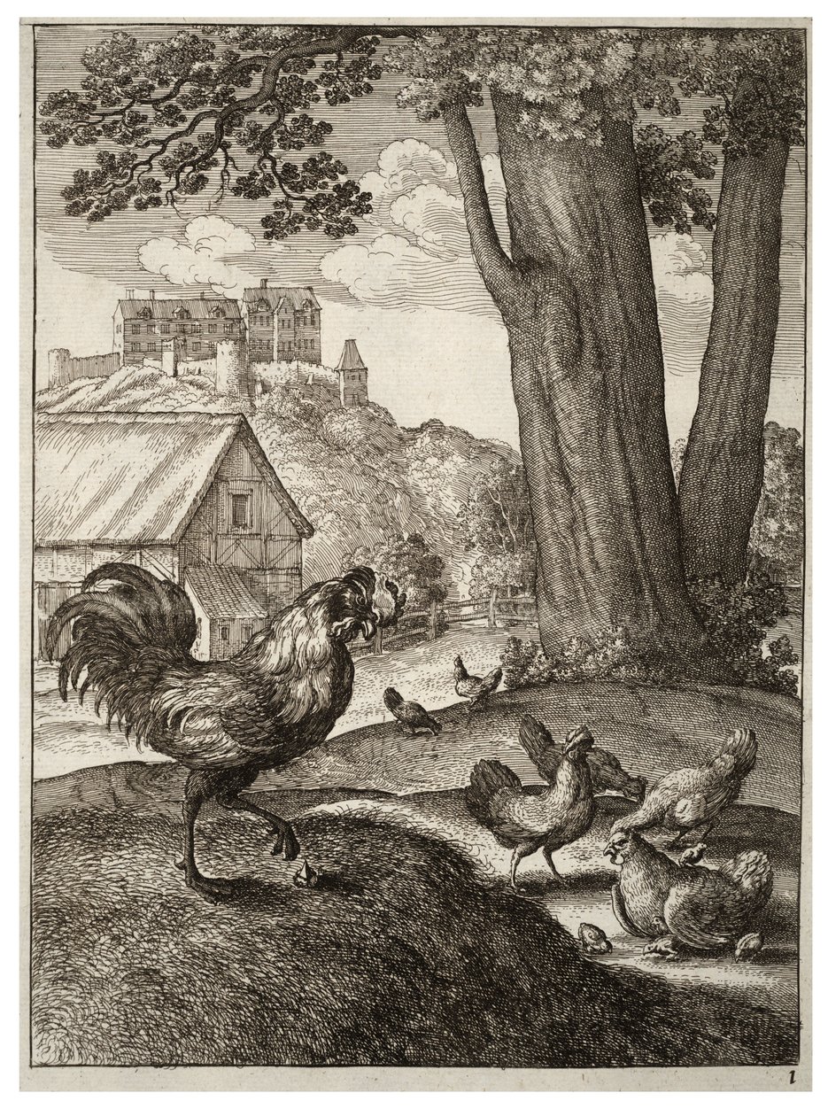 Kohout a klenot od Wenceslaus Hollar