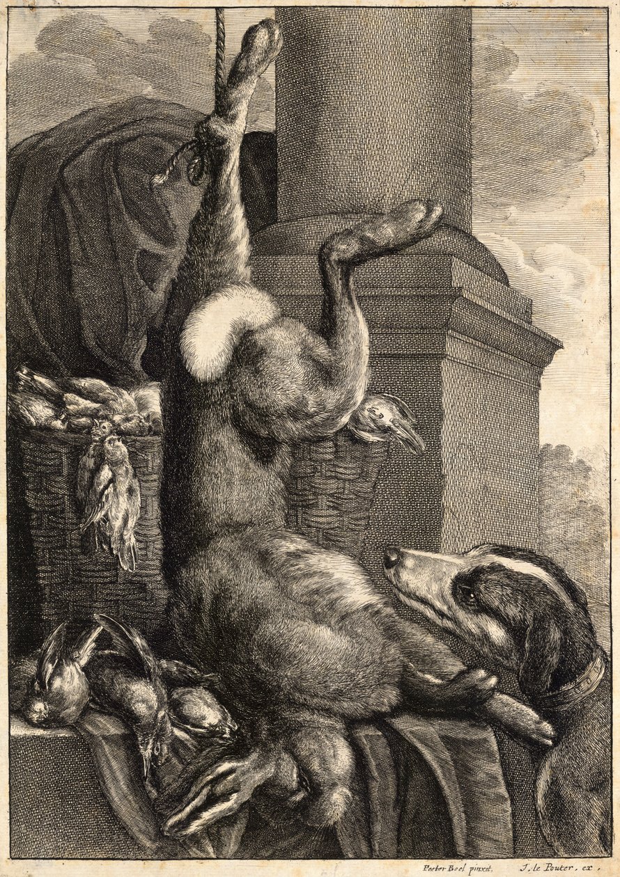 Mrtvý zajíc. Stav 2 od Wenceslaus Hollar