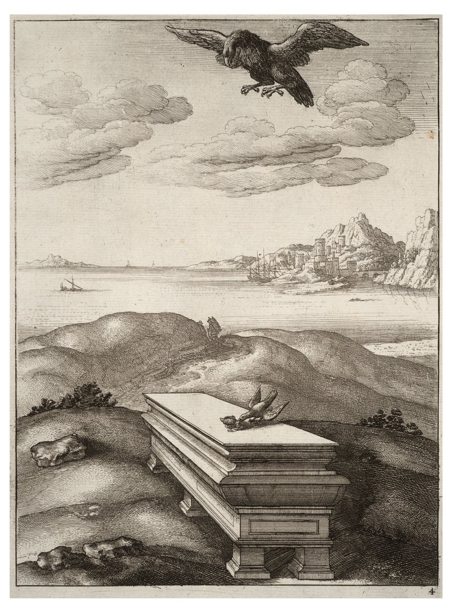 Orel a Daw od Wenceslaus Hollar