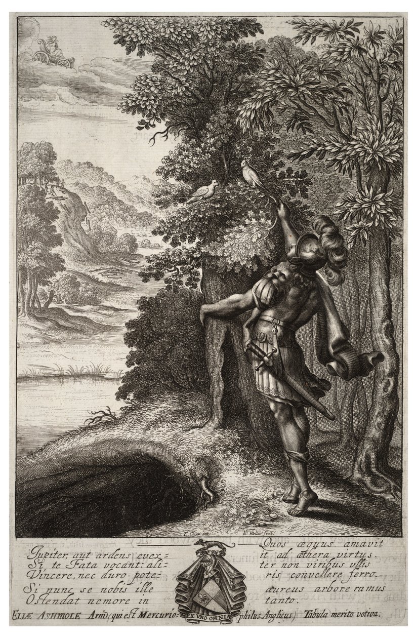 Zlatá větev. Stav 1 od Wenceslaus Hollar