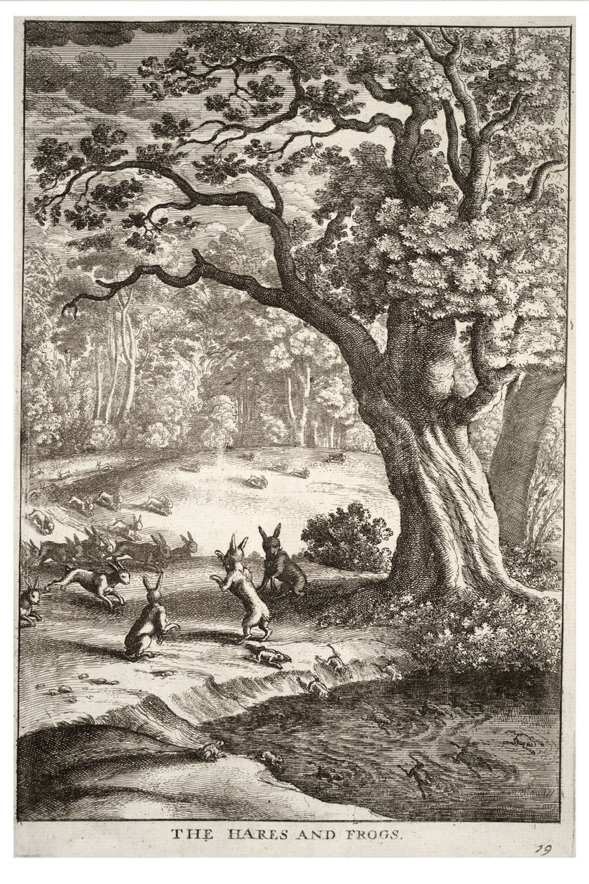 Zajíci a žáby od Wenceslaus Hollar