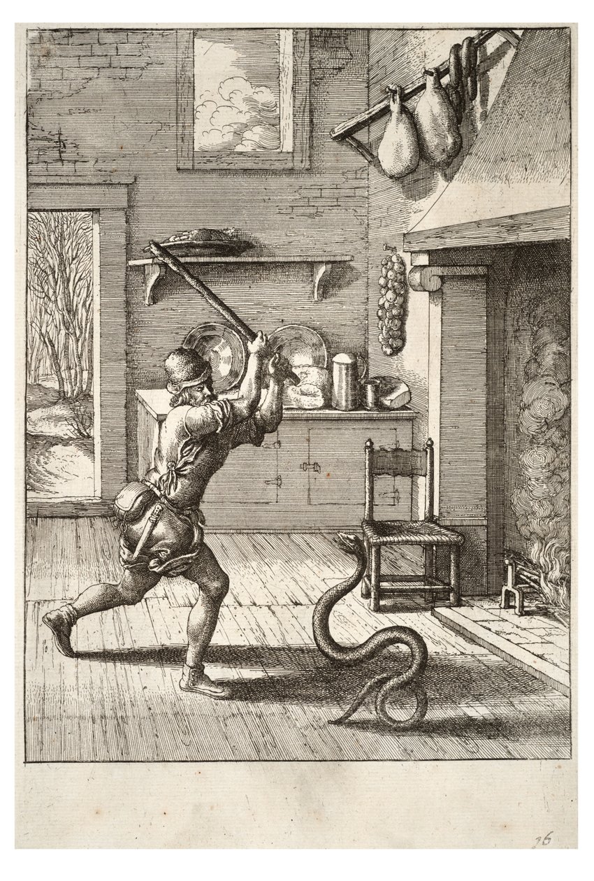 Muž a had od Wenceslaus Hollar