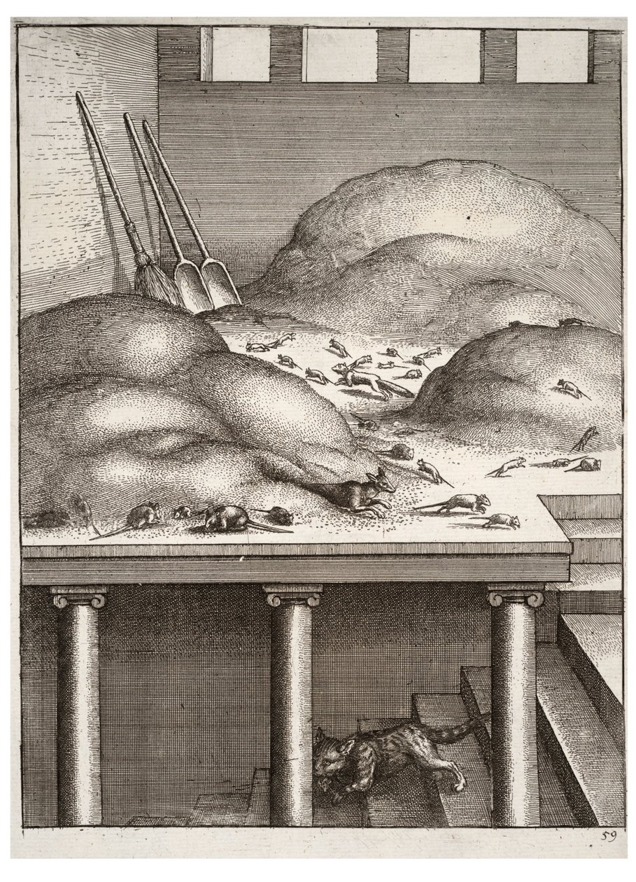 Stará lasice a myši od Wenceslaus Hollar