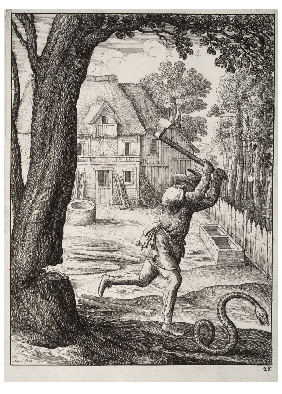 Rolník a had od Wenceslaus Hollar
