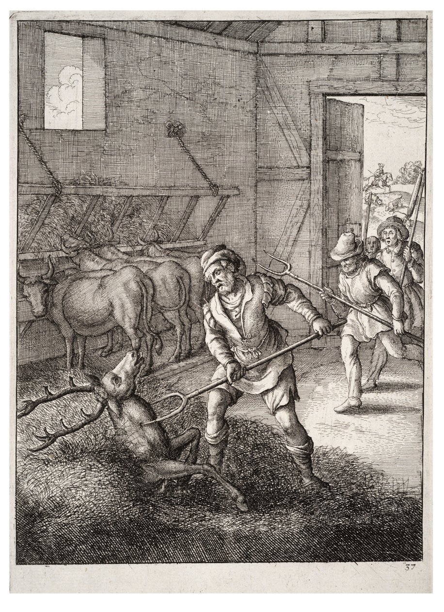 Jelen v kravíně od Wenceslaus Hollar