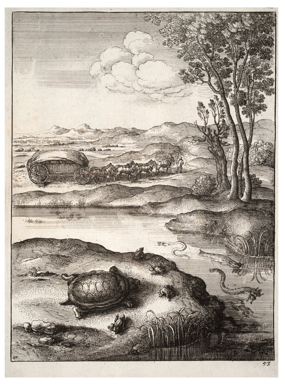 Želva a žáby od Wenceslaus Hollar