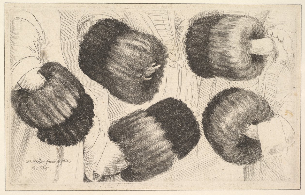 Muff v pěti pohledech, 1645-46. od Wenceslaus Hollar