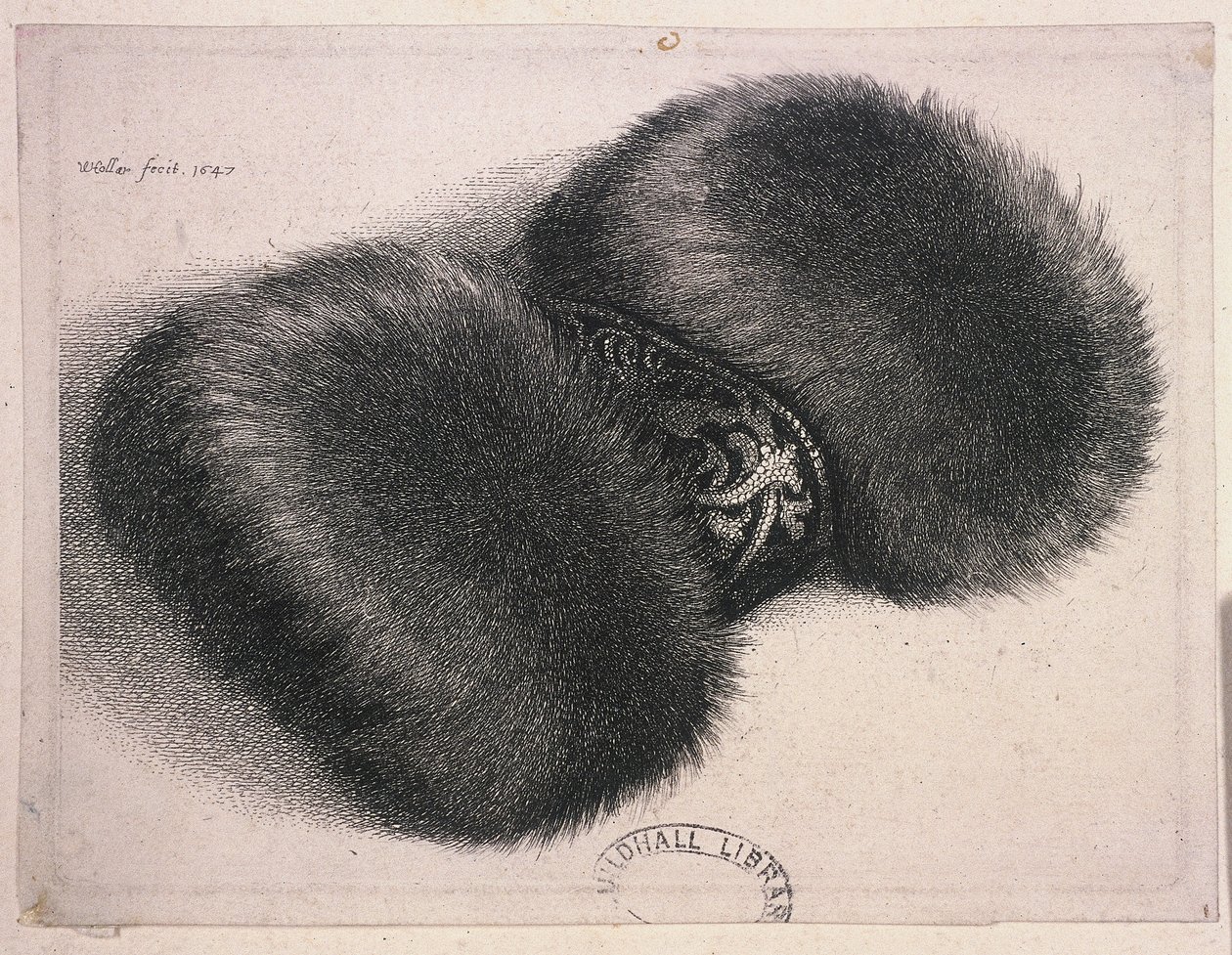 Velký rukávník s brokátovým páskem, 1647 od Wenceslaus Hollar