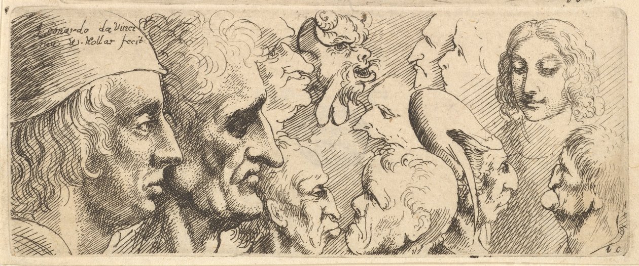 Různé hlavy, 1625-77. od Wenceslaus Hollar