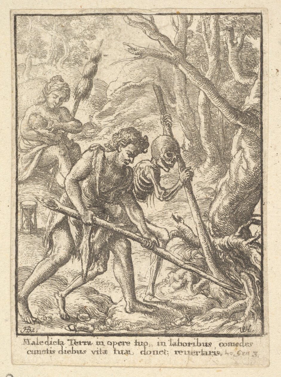Adam Orba z tance smrti, 1651. od Wenceslaus Hollar