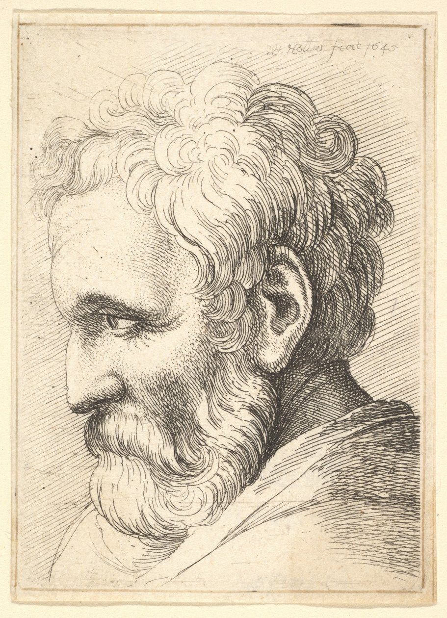 Vousatý stařík od Wenceslaus Hollar