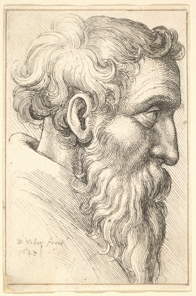 Vousatý stařec z profilu doprava od Wenceslaus Hollar