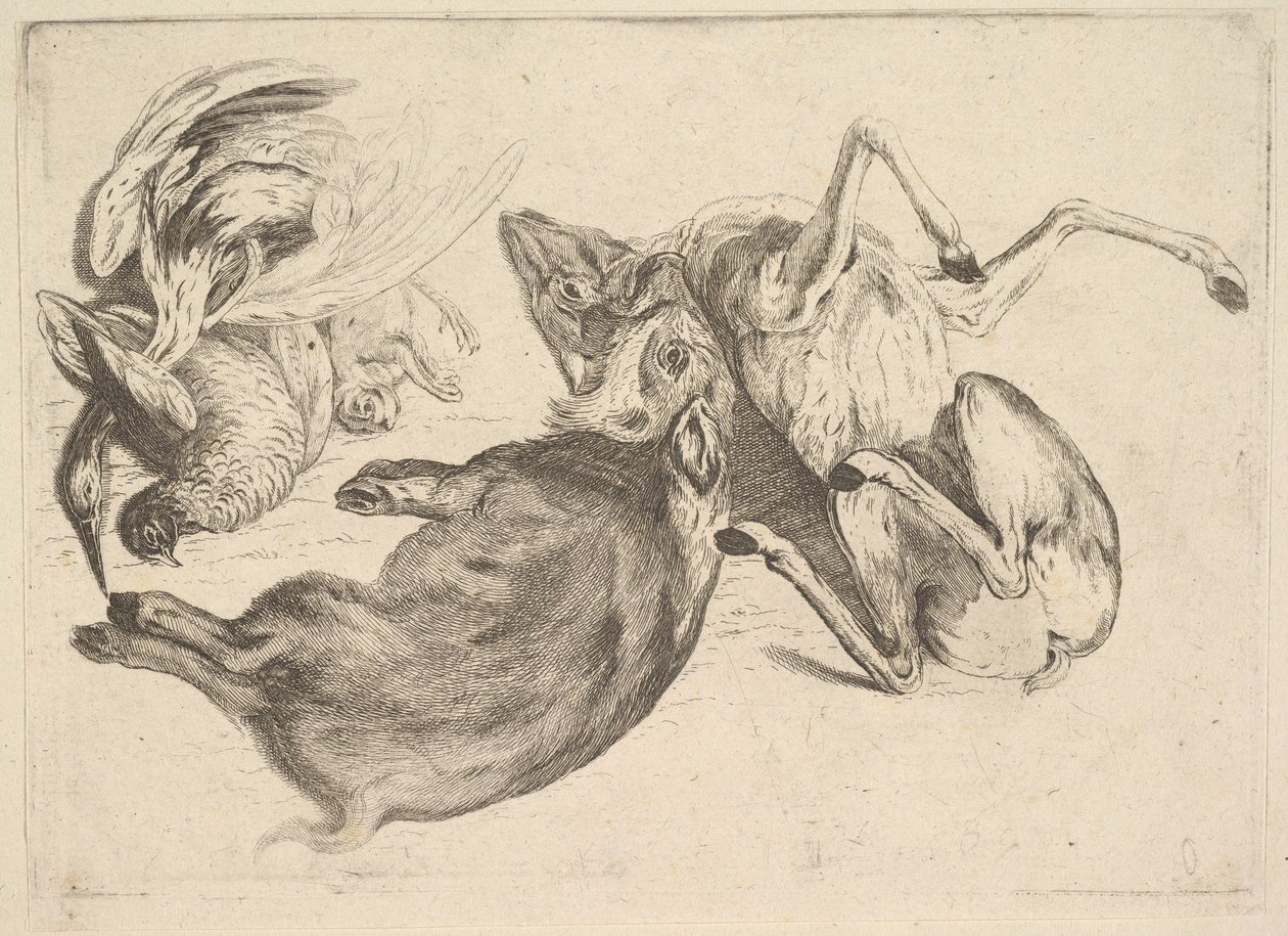 Kanec, jelen, volavka a jiná zvěř, 1625-77. od Wenceslaus Hollar