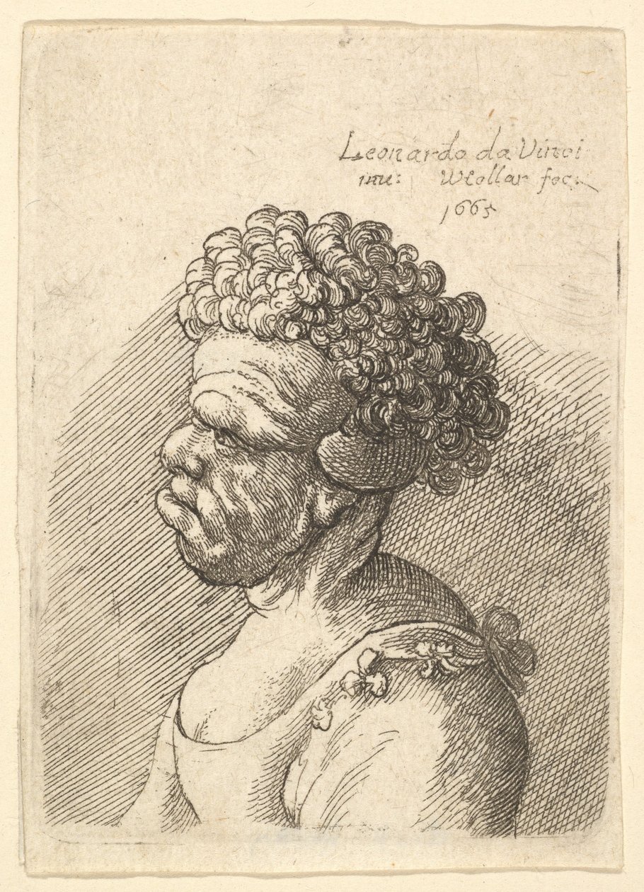 Busta zdeformované ženy s kudrnatými vlasy z profilu vlevo, 1665. od Wenceslaus Hollar