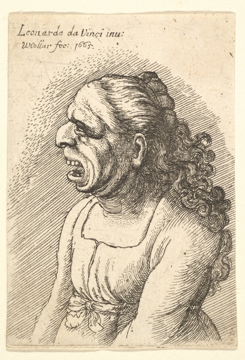 Busta ženy s široce otevřenými ústy a dlouhými kudrnatými vlasy spadajícími na ramena, nosí..., 1665. od Wenceslaus Hollar