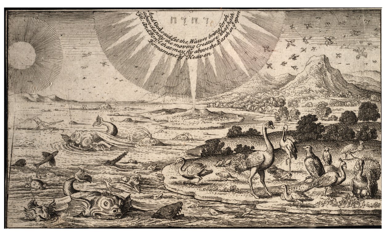 Tvorba ptáků a ryb. stát 1 od Wenceslaus Hollar