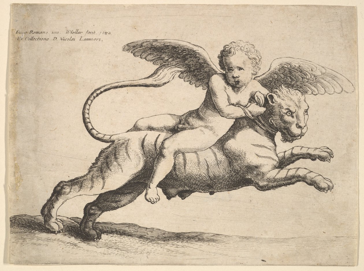 Amor na tygru, 1652. od Wenceslaus Hollar