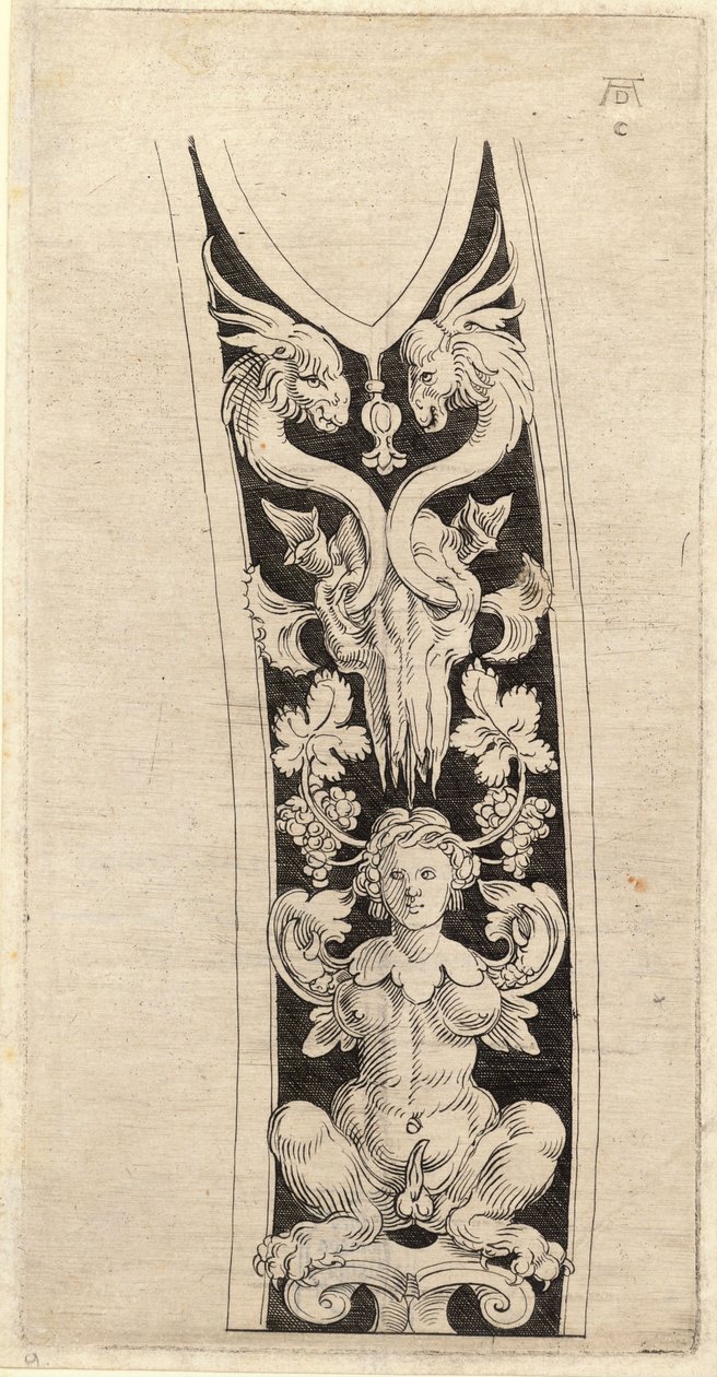 Návrh na pochvu z kresby Albrechta Durera od Wenceslaus Hollar
