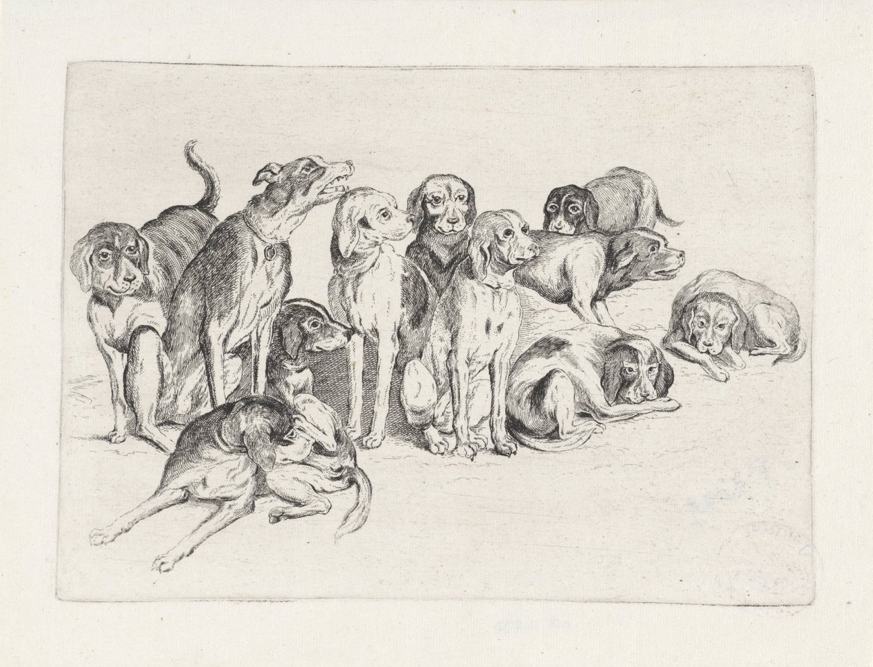 Jedenáct loveckých psů od Wenceslaus Hollar