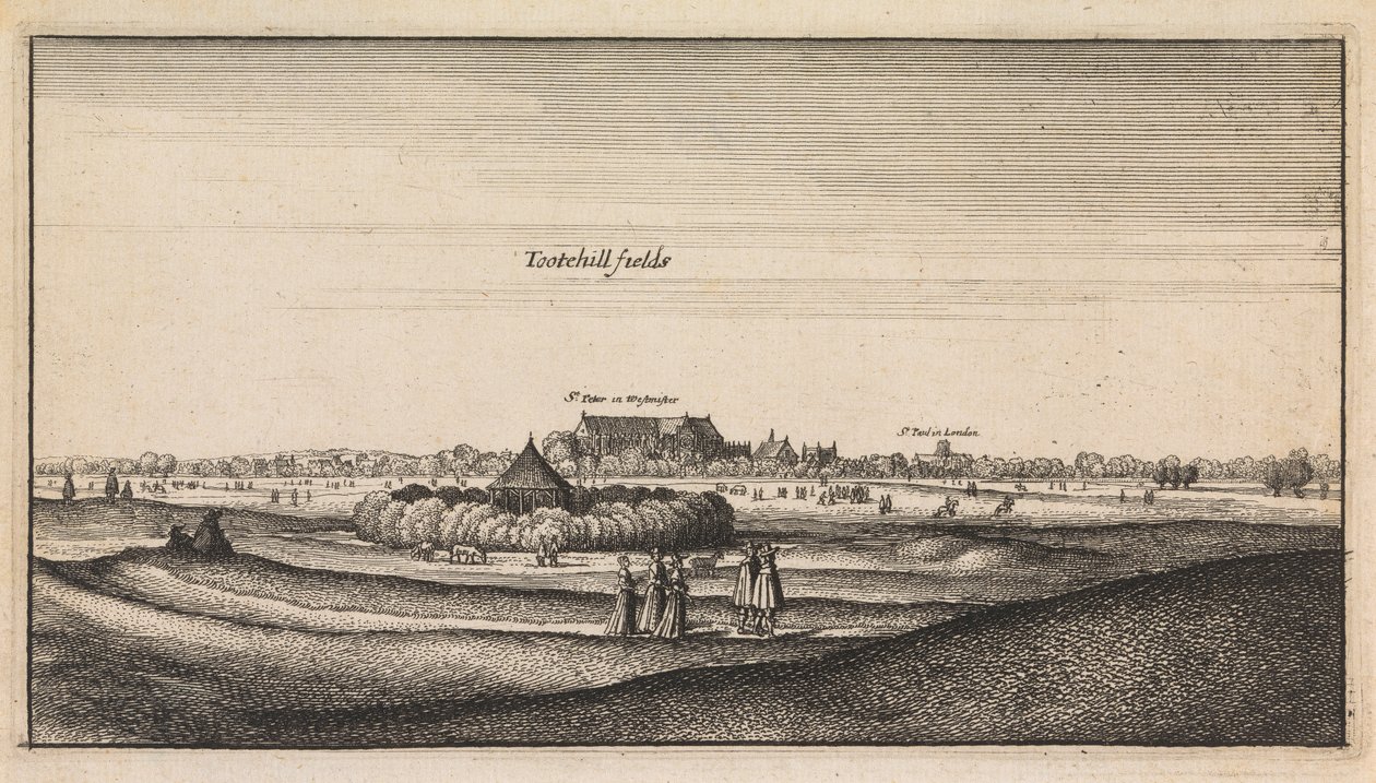 English Views: Tootehill Fields od Wenceslaus Hollar