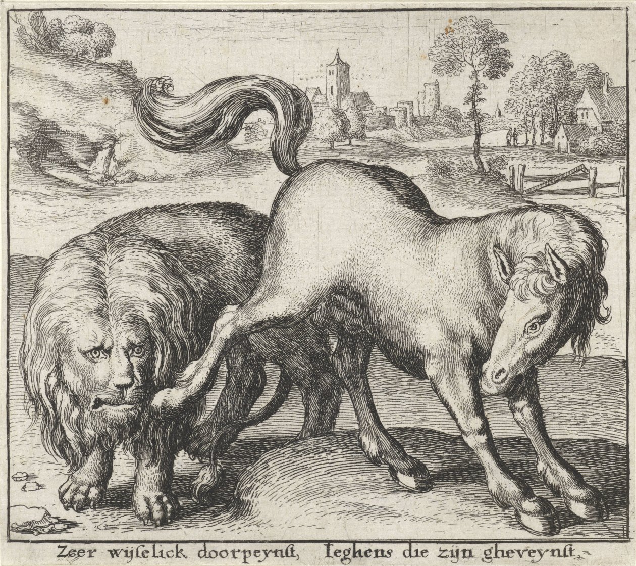 Bajka o lvu a hřebci Bajky (název série) od Wenceslaus Hollar