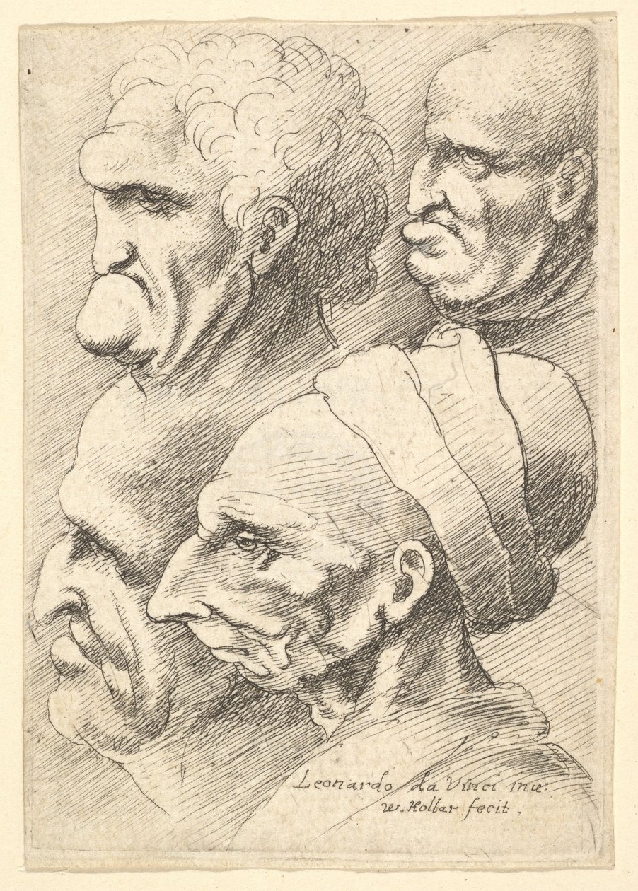 Čtyři groteskní hlavy z profilu vlevo, 1625-77. od Wenceslaus Hollar