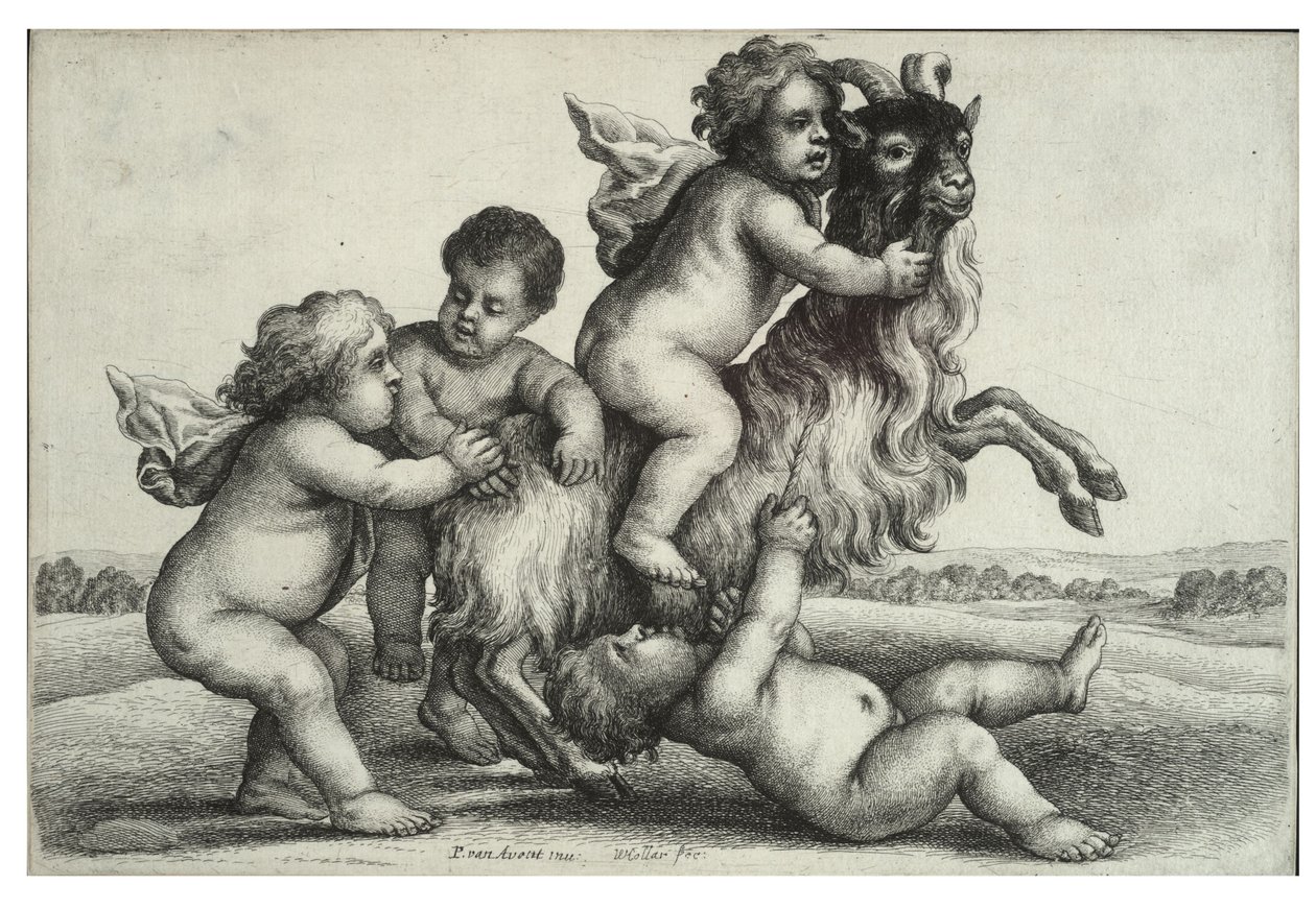 Čtyři malí kluci a koza od Wenceslaus Hollar