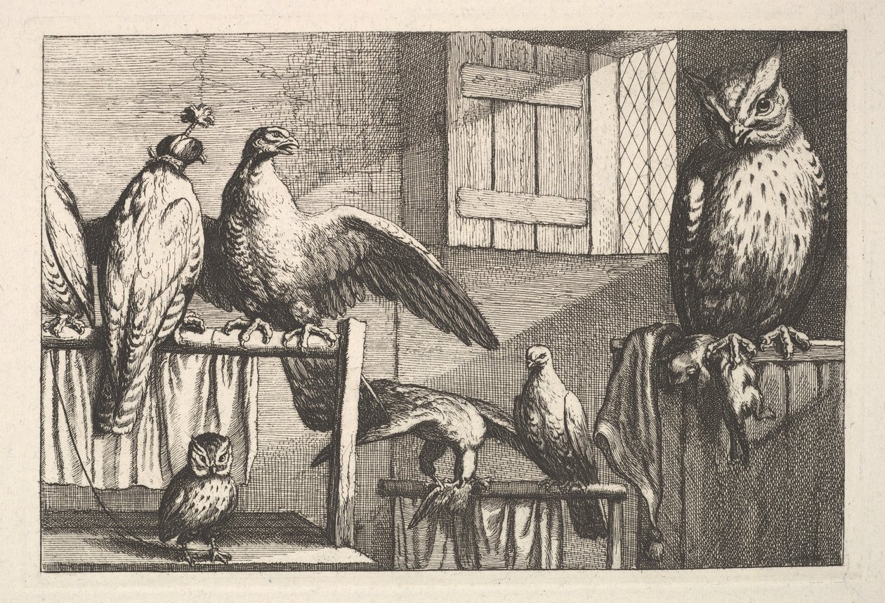 Jestřábi a sovy, 1625-77. od Wenceslaus Hollar