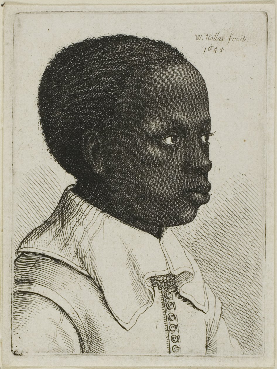 Hlava mladého černocha z profilu vpravo od Wenceslaus Hollar