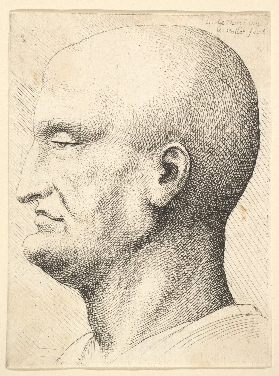 Hlava holohlavého muže z profilu vlevo, 1644-52. od Wenceslaus Hollar