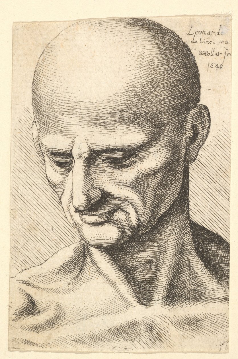 Hlava holohlavého, šlachovitého muže při pohledu dolů, 1648. od Wenceslaus Hollar