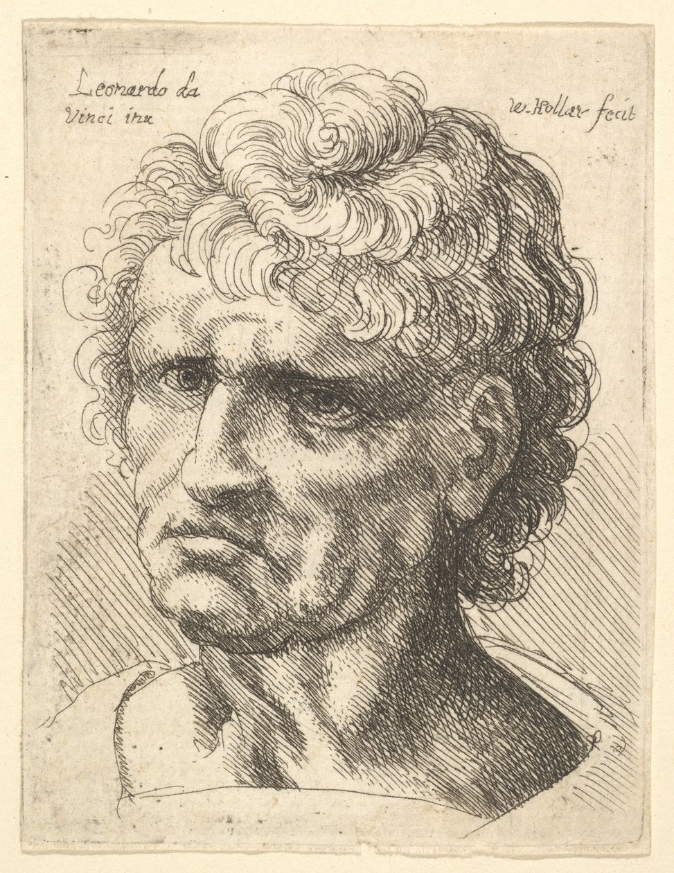 Hlava muže s vážným výrazem, 1625-77. od Wenceslaus Hollar