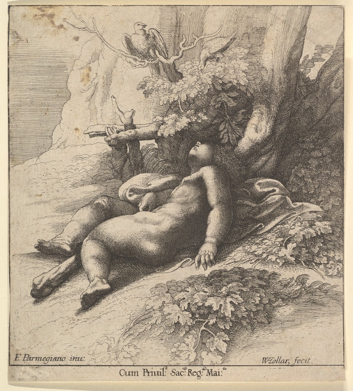 Spící nemluvně Herkules, 1625-77. od Wenceslaus Hollar