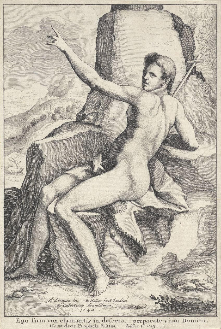 Jana Křtitele na poušti od Wenceslaus Hollar