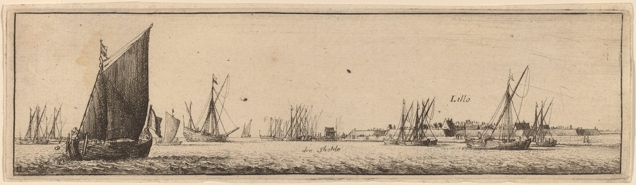Lillo od Wenceslaus Hollar