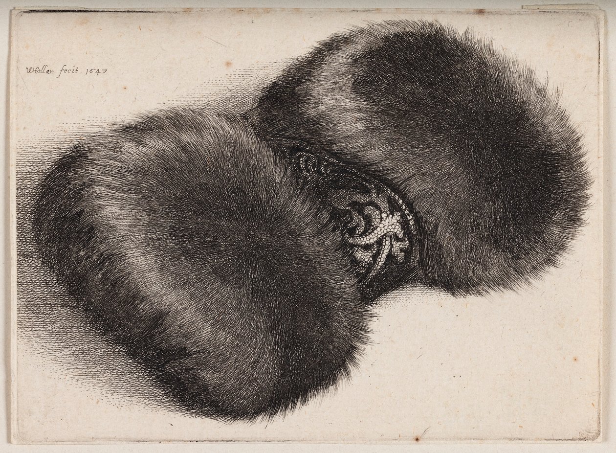 Kožešinový rukávník se stuhou potaženou brokátem od Wenceslaus Hollar