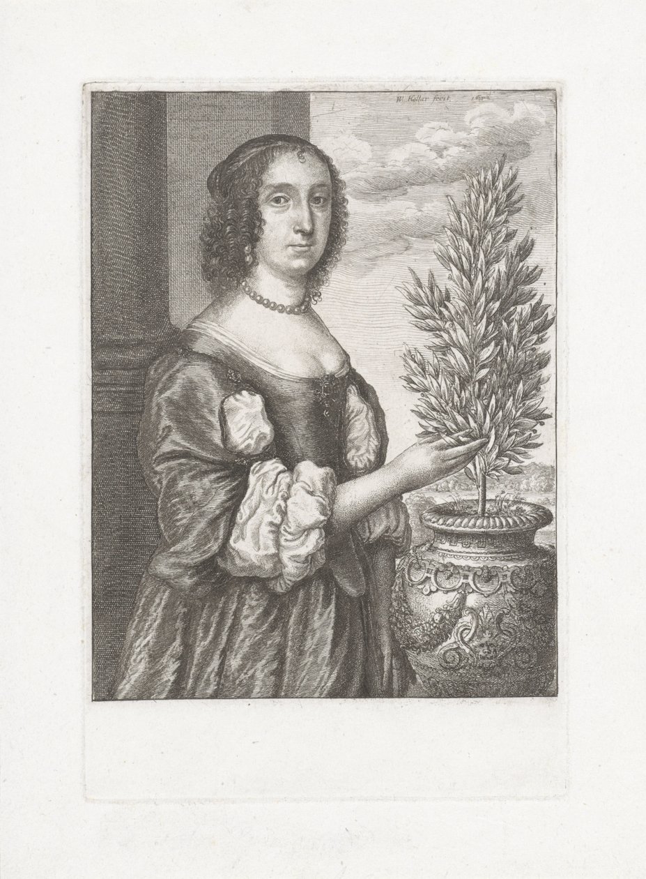 Portrét ženy stojící vedle vavřínové rostliny od Wenceslaus Hollar