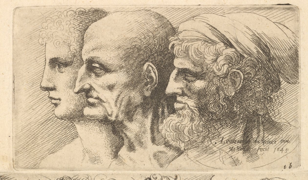 Řada tří hlav z profilu vlevo, 1645. od Wenceslaus Hollar