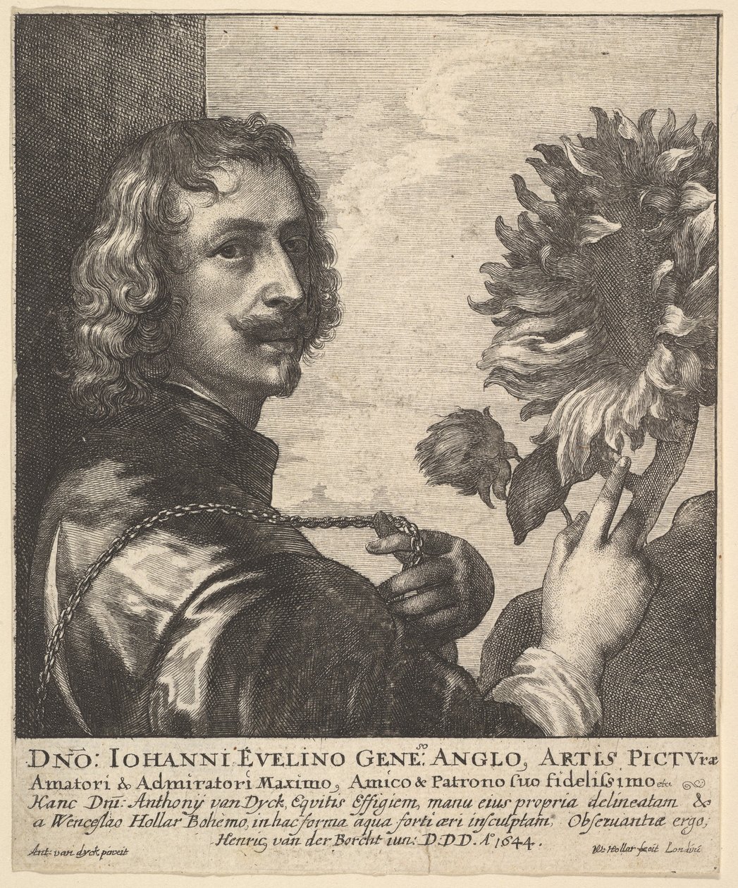 Sir Anthony van Dyck se slunečnicí, 1644. od Wenceslaus Hollar