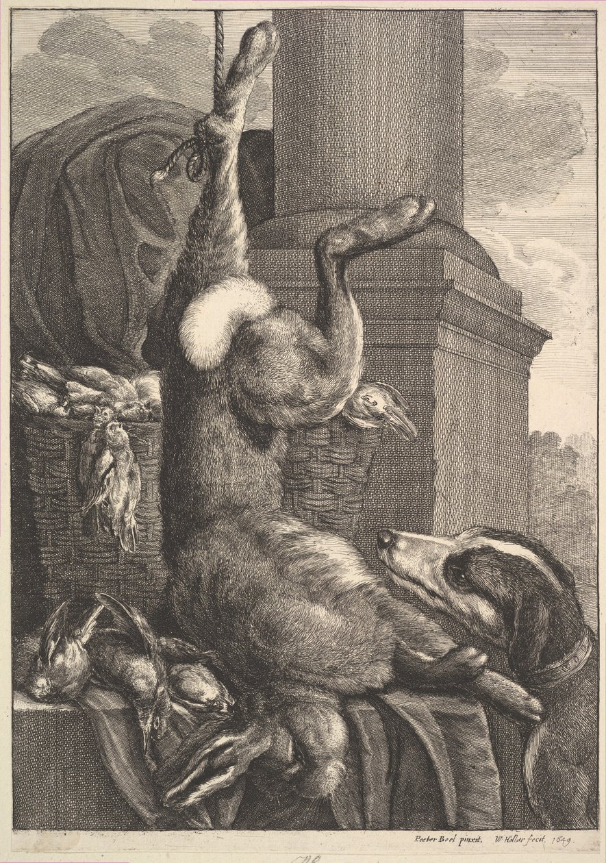 Mrtvý zajíc, 1649. od Wenceslaus Hollar